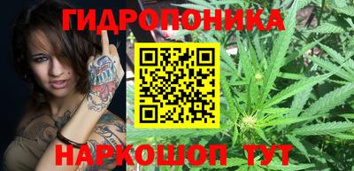 ECSTASY Кунгур