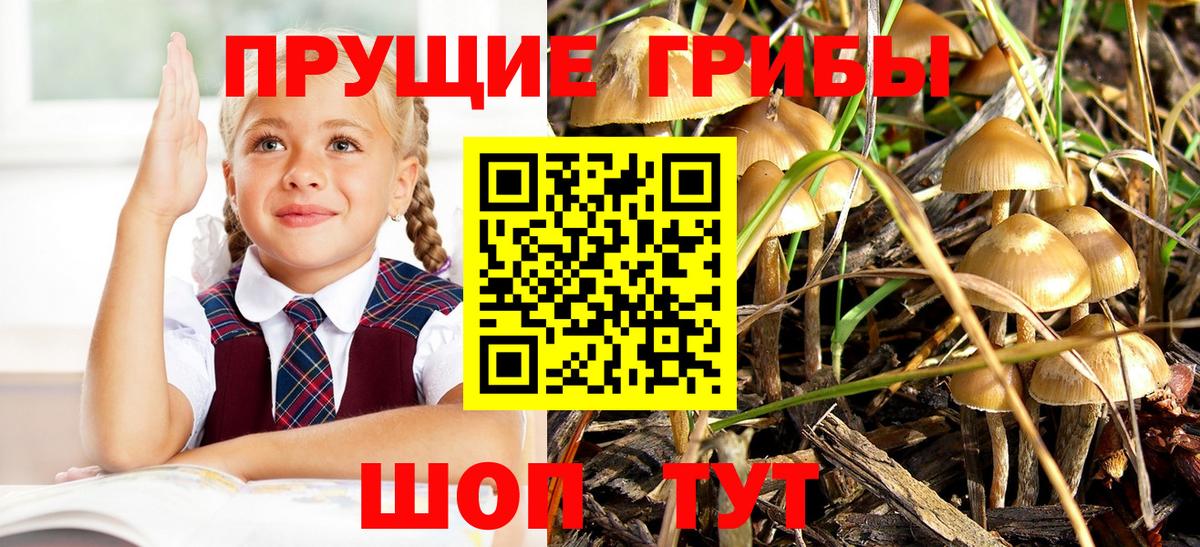Галлюциногенные грибы мухоморы  Псилоцибиновые грибы MAGIC MUSHROOMS  Вход с VPN  как найти закладки  Черняховск 